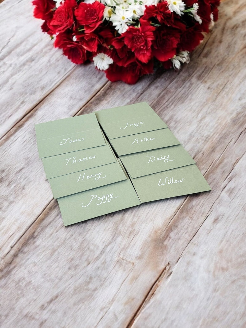 Handwritten Sage Green Wedding Place Cards: White Ink Calligraphy