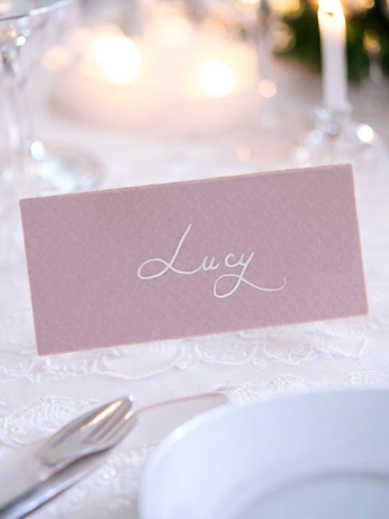Handwritten Pastel Pink Wedding Place Cards: White Ink